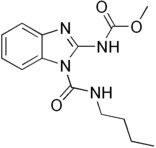benzimidazole drugs