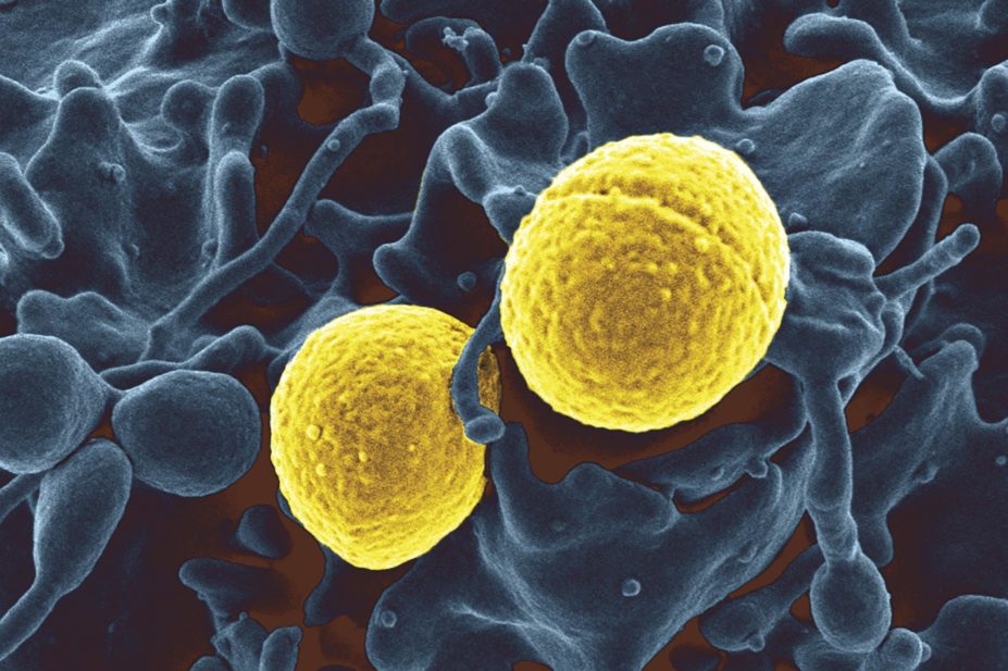 do cell boosters cause cancer