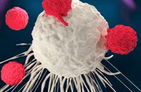 niclosamide and cancer