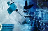 niclosamide and lung cancer