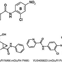 niclosamide side effects