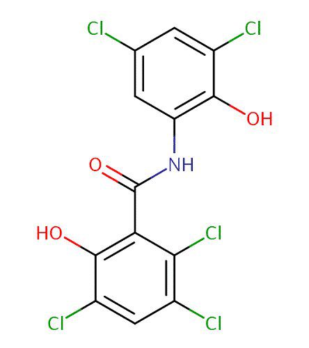 oxyclozanide in pregnancy