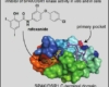 rafoxanide side effects