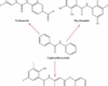 salicylanilides ivermectin