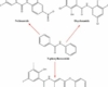 salicylanilides ivermectin