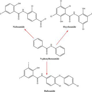 salicylanilides ivermectin
